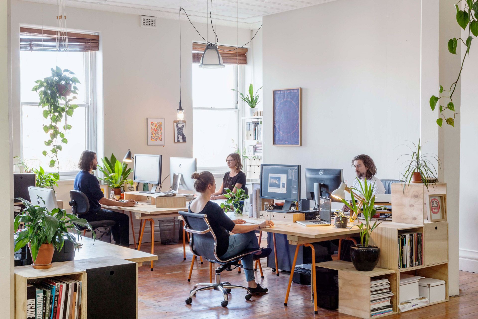 Bright, plant-filled office with three people working at desks near large windows.