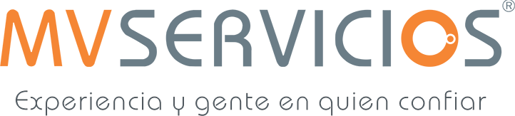MV SERVICIOS