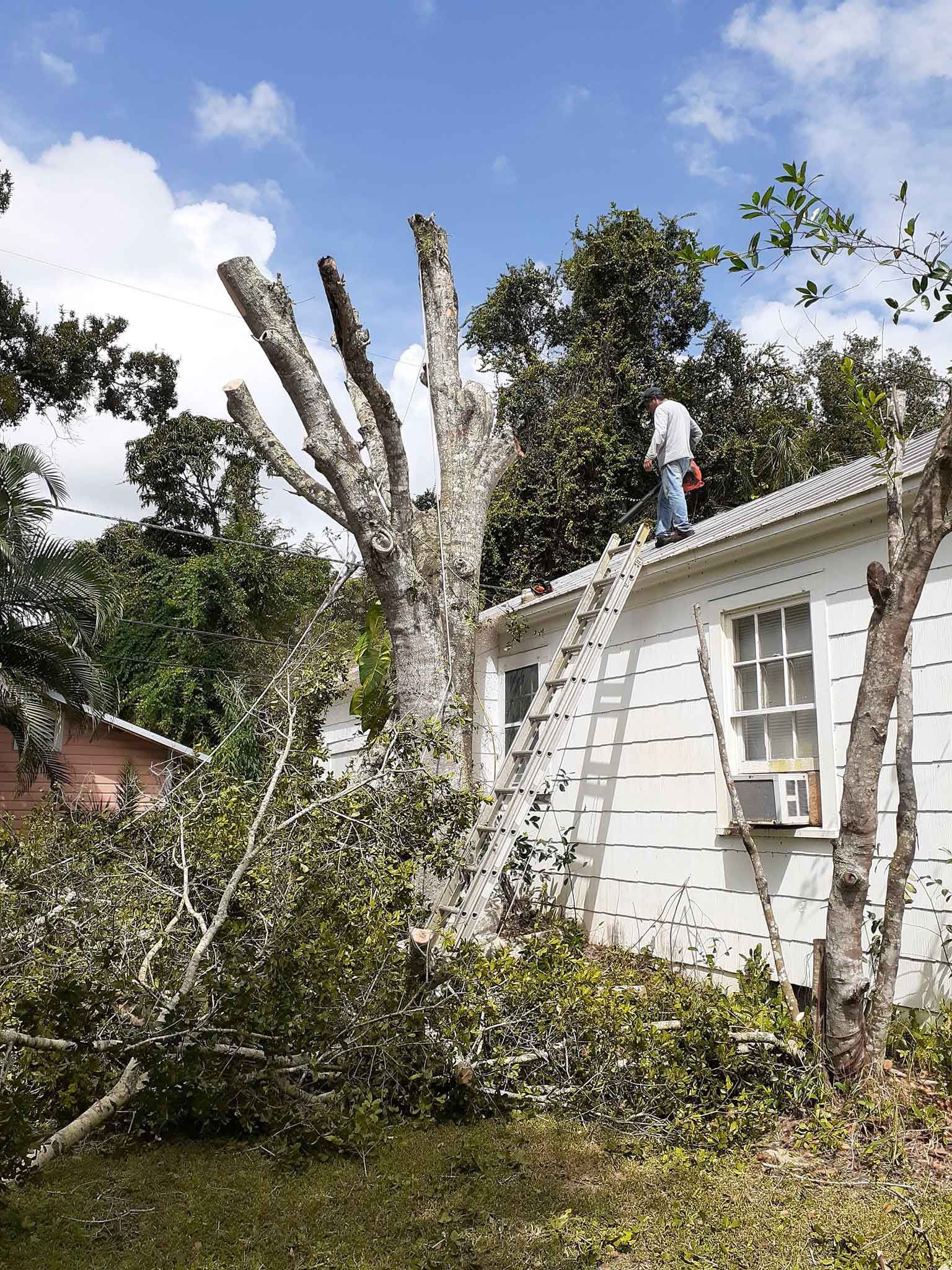Man On Top Of The Roof — Vero Beach, FL — Perez Tree Service