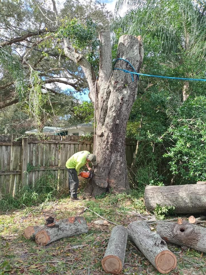 Man Is Cutting A Tree With A Chainsaw — Vero Beach, FL — Perez Tree Service