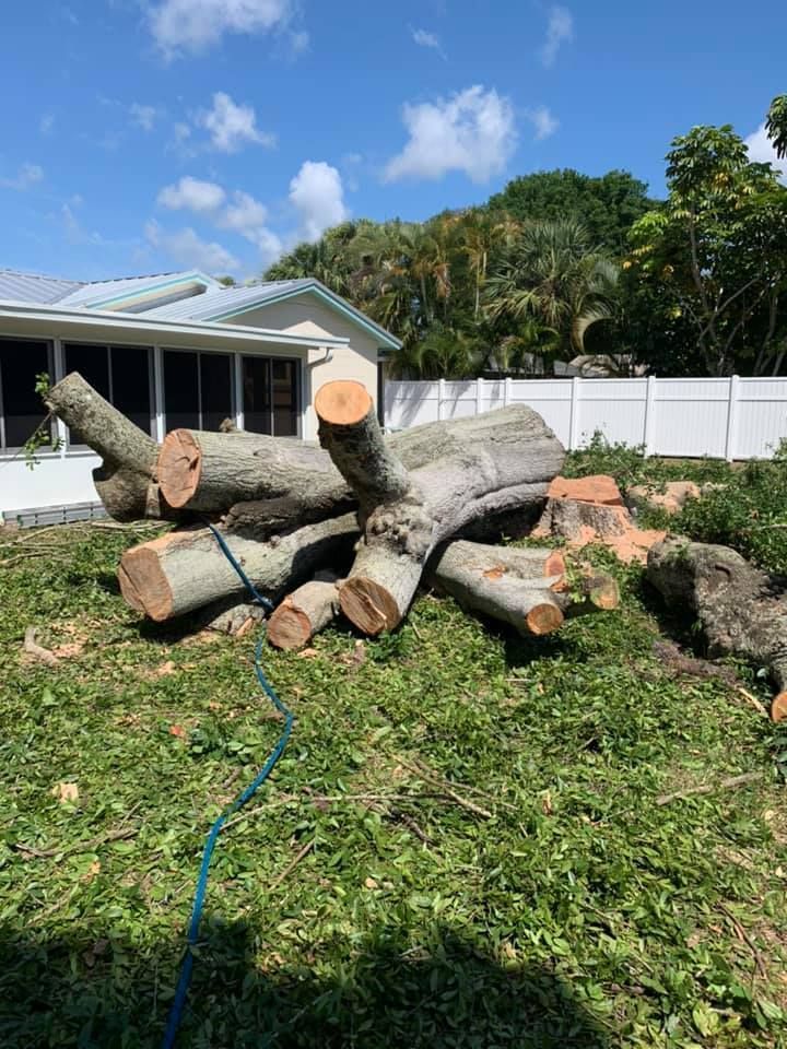 A Bunch Of Logs Are Laying In The Grass — Vero Beach, FL — Perez Tree Service