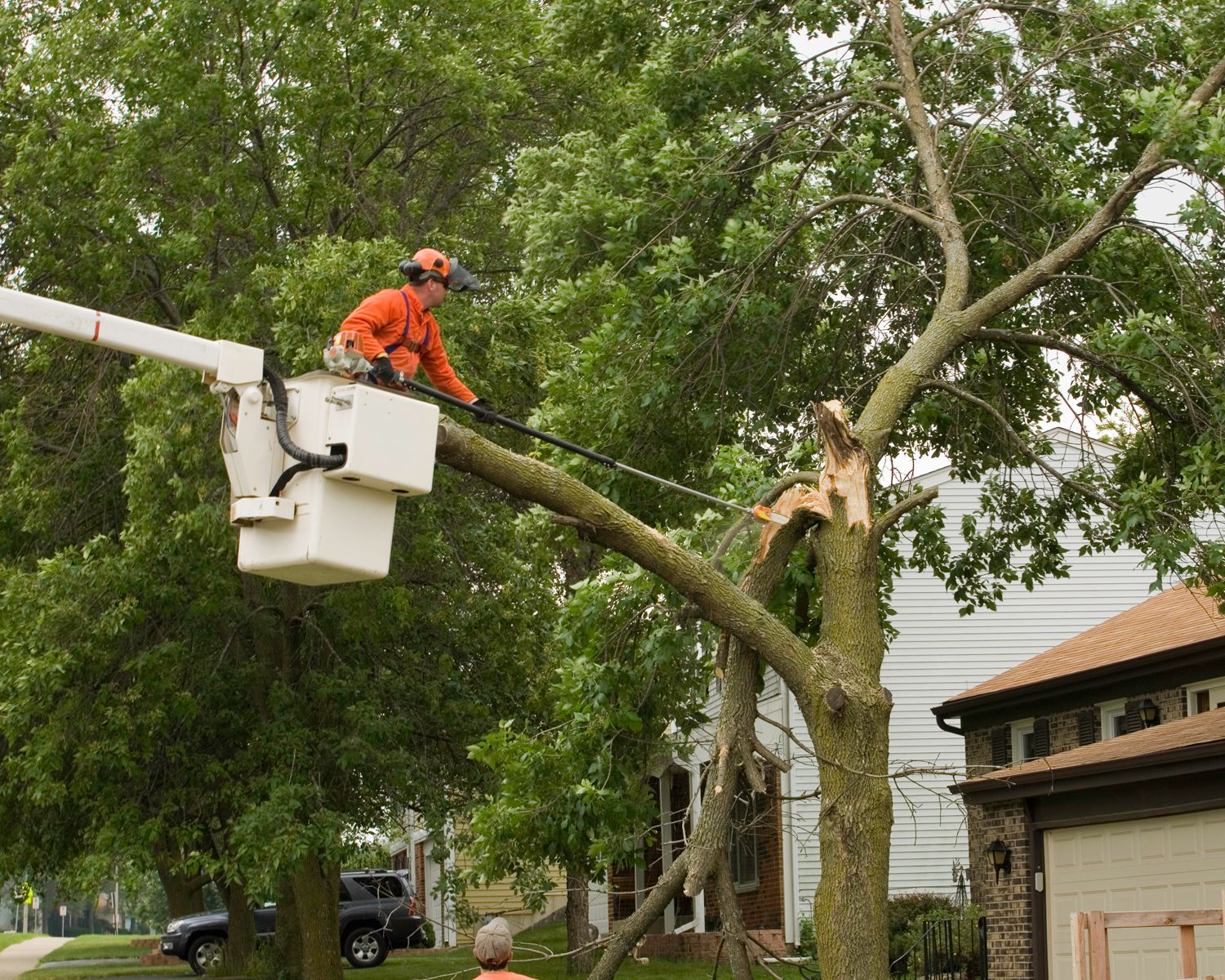 A storm damaged tree gets cut by a professional arborist as part of emergency tree services. A storm damaged tree gets cut by a professional arborist as part of emergency tree services.
