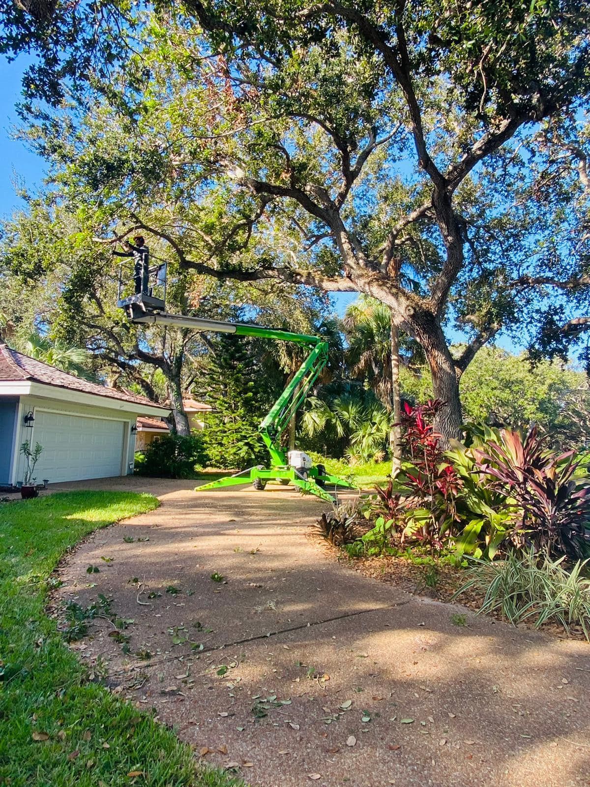 Residential Tree Service — Vero Beach, FL — Perez Tree Service