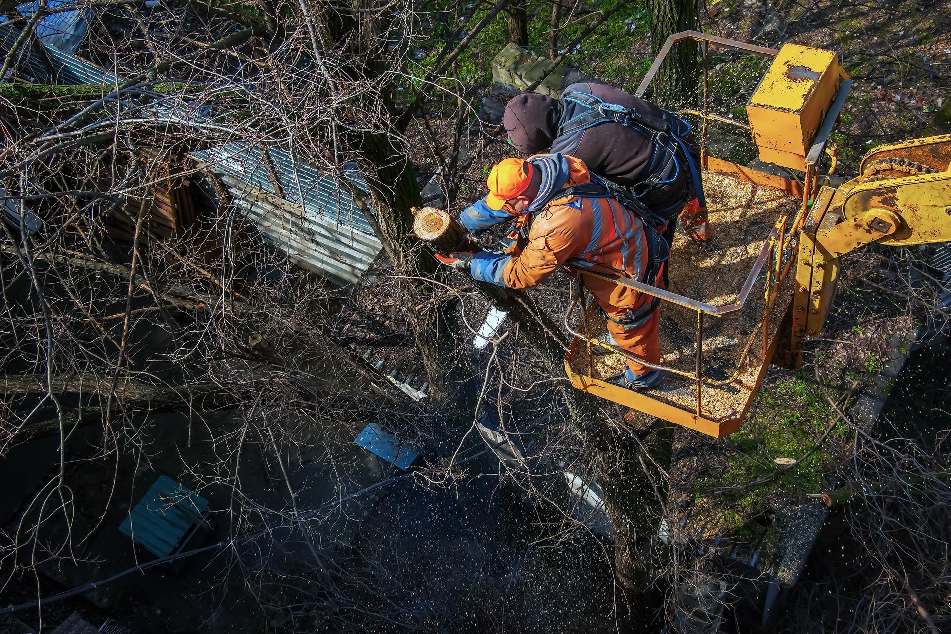 Municipal service workers stand with a chainsaw in crane basket and trim dangerous trees. Municipal service workers stand with a chainsaw in crane basket and trim dangerous trees.