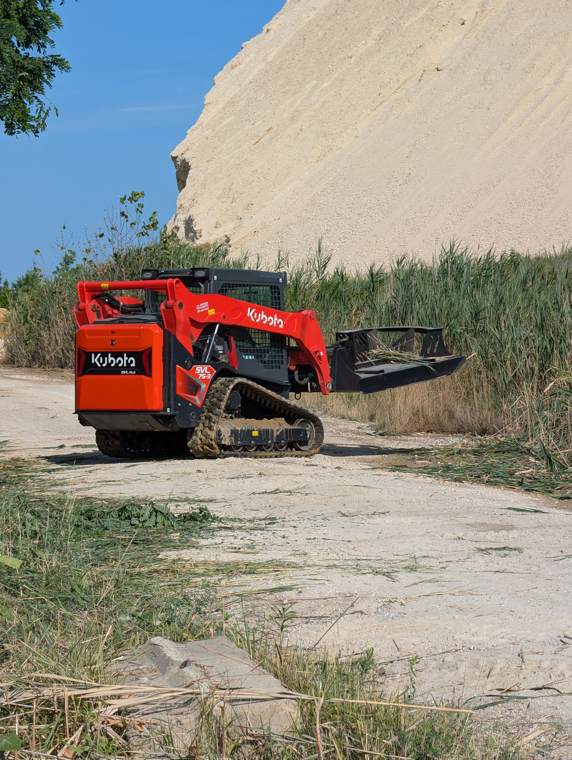 Professional brush cutting service for overgrown weeds and brush.