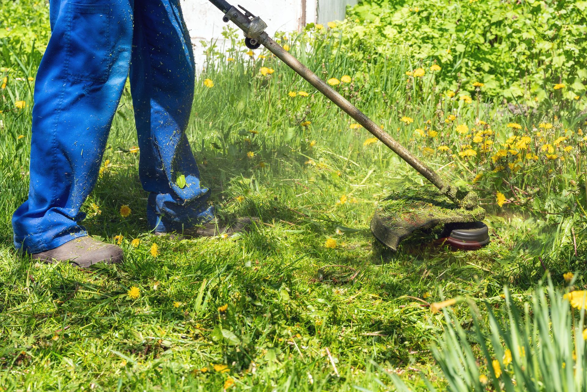 Professional brush cutting service for overgrown weeds and brush.