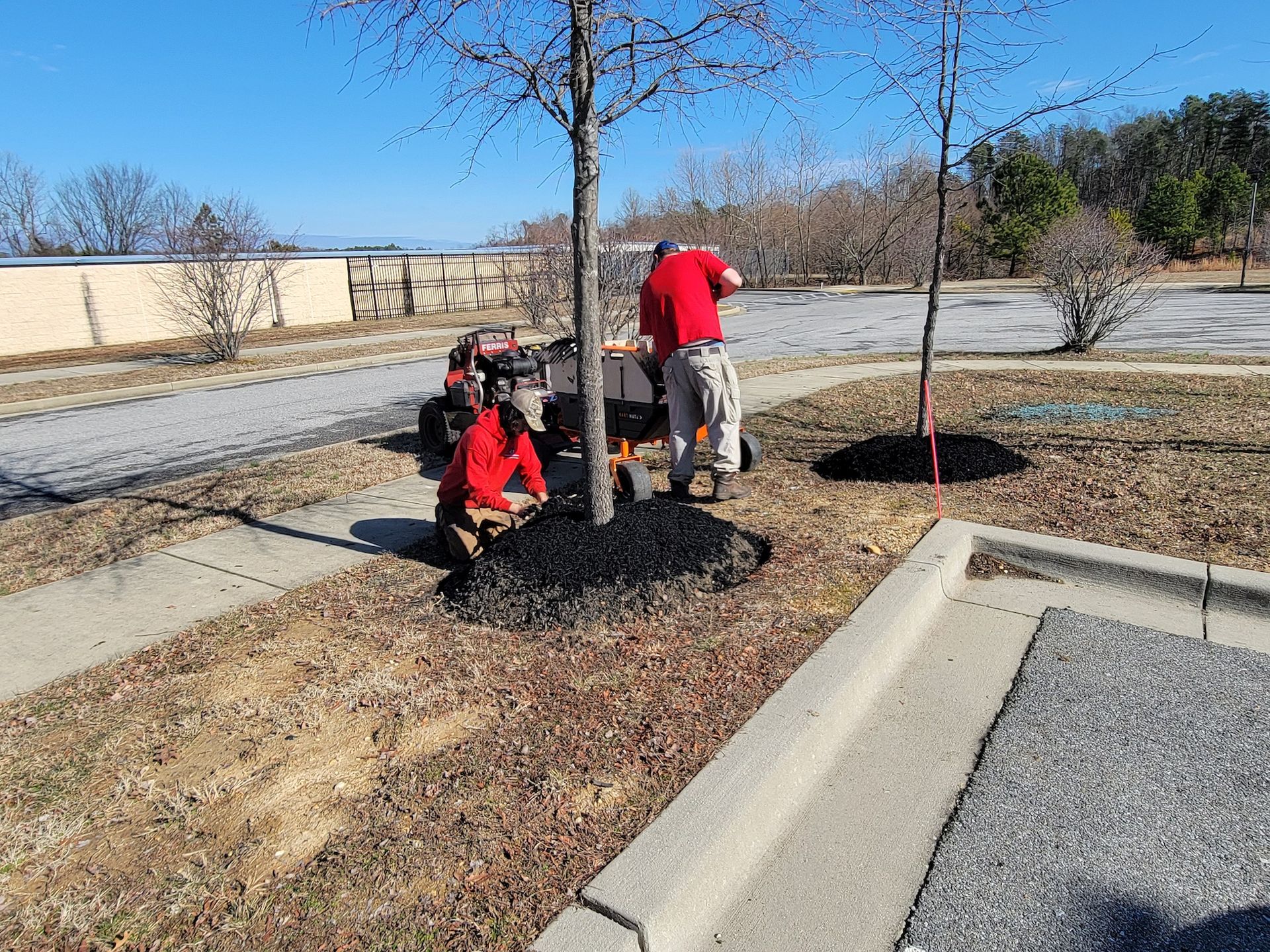 Two men are working on a tree in a parking lot.