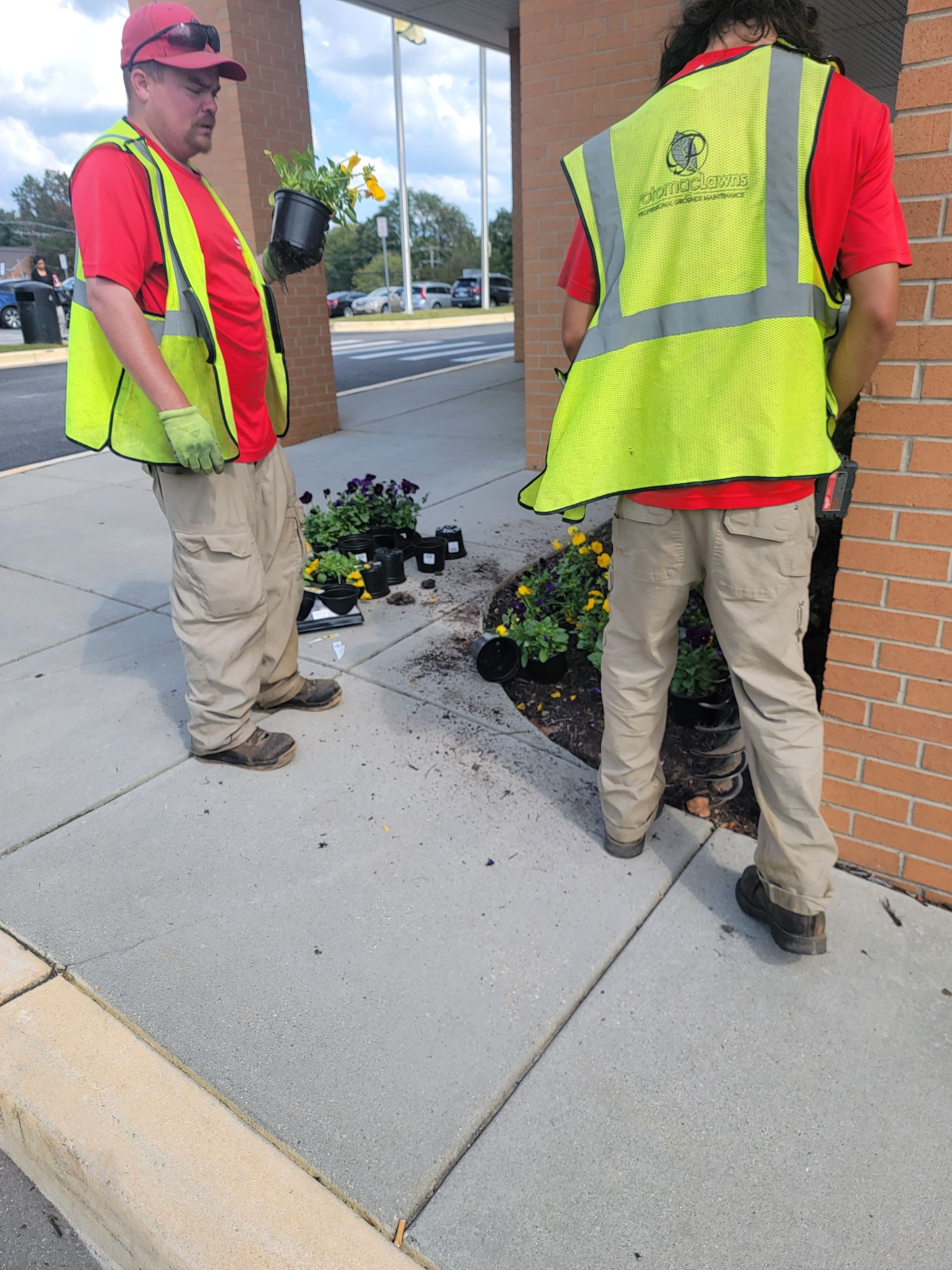 Workers are getting ready to install flowers to enhance commercial landscape.