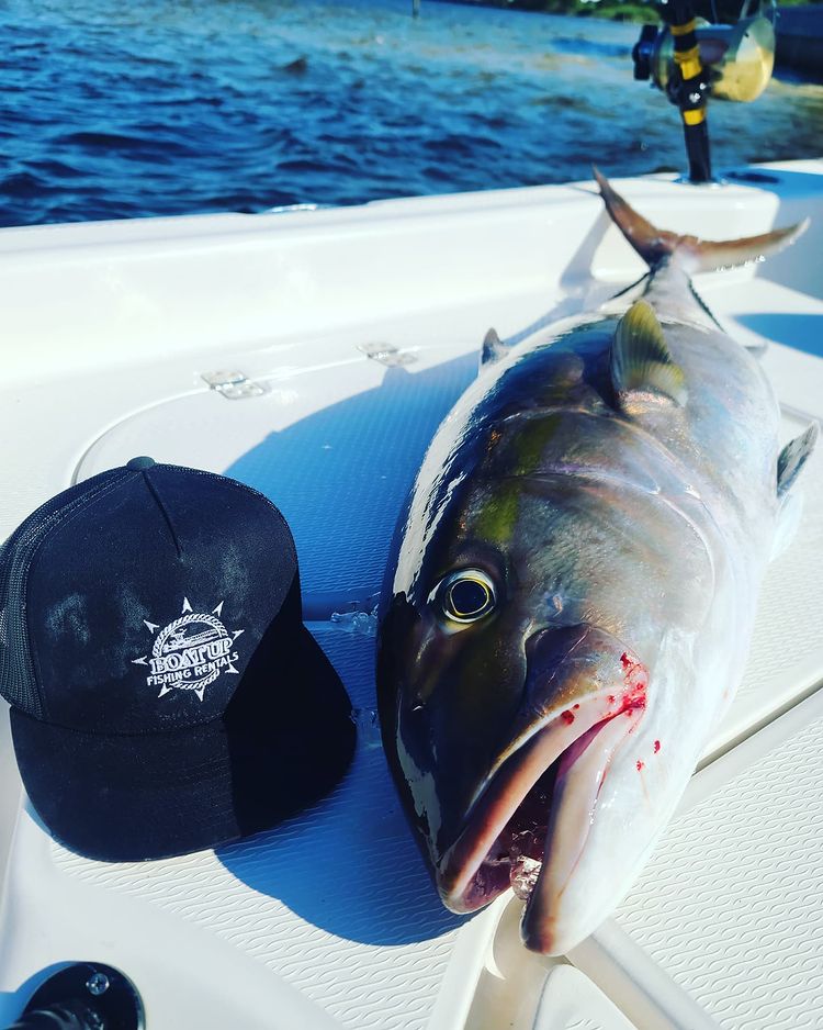 Boat Rentals Destin, FL Boat Up Fishing Rentals