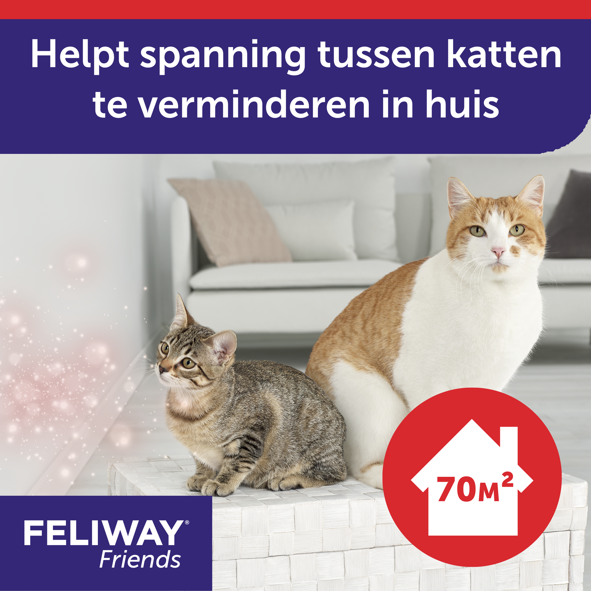 Feliway Friends Diffuser   refill 48 ml