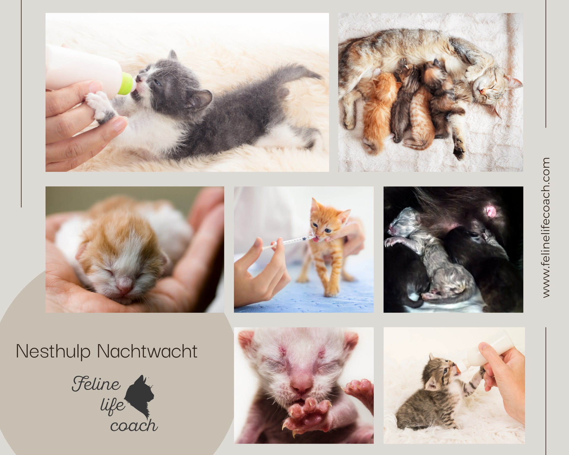 Nesthulp Nachtwacht - Available by telephone outside veterinary opening hours