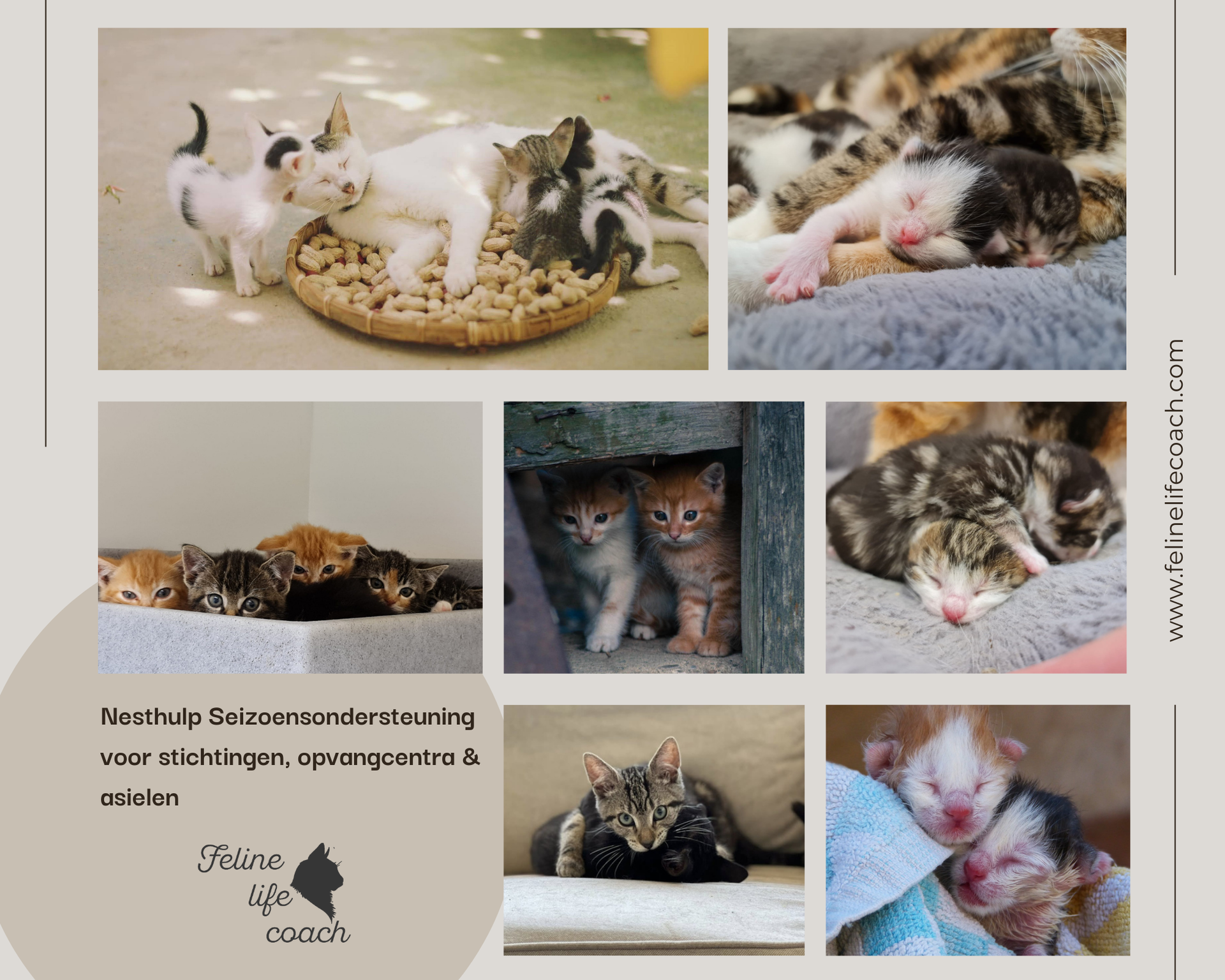 Nesting aid Seasonal support for foundations, shelters & shelters