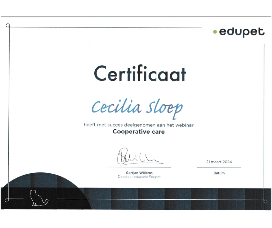 Wit certificaat met 