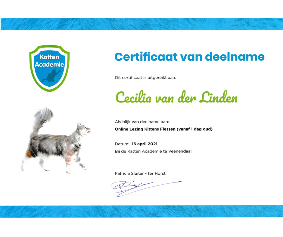 Nederlands deelnamecertificaat voor katten met blauwe rand, kattenlogo en een kleine kattenfoto.