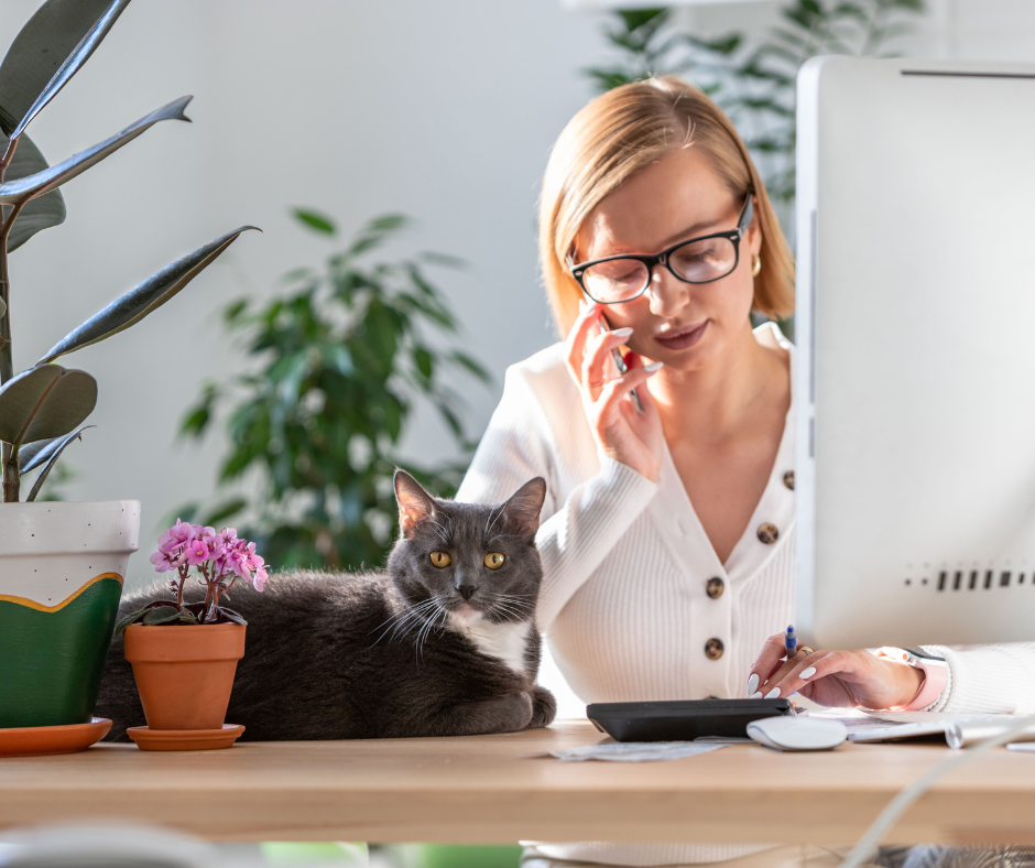 Een vrouw werkt aan een bureau met een grijze kat naast de computer en een telefoon aan haar oor.