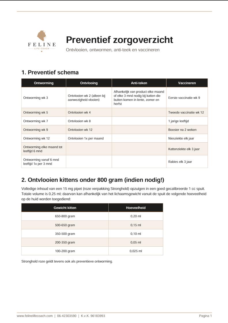 Groen-witte flyer voor