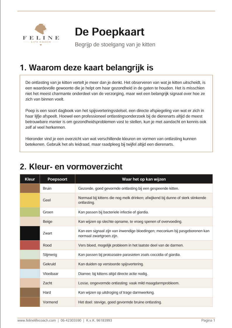 Logo met zes pastelkleurige zeshoeken en de tekst