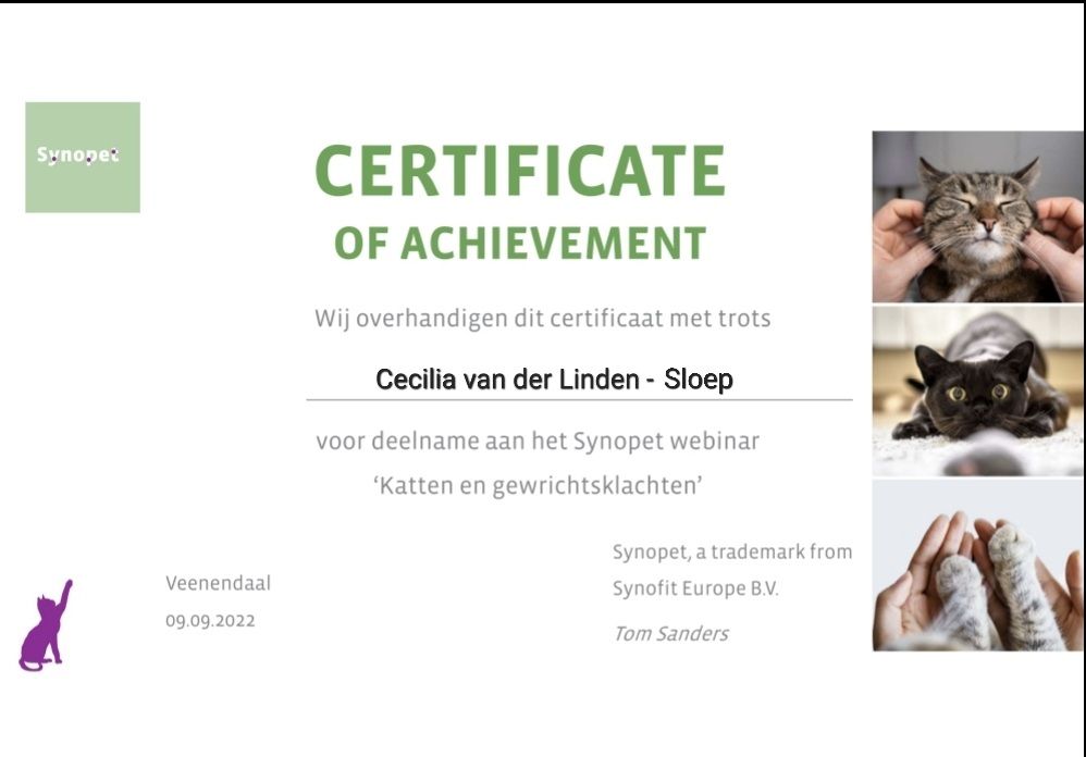 Groen-wit certificaat van verdienste voor Cecilia van de Linden-Snoep, met kattenfoto's rechts.
