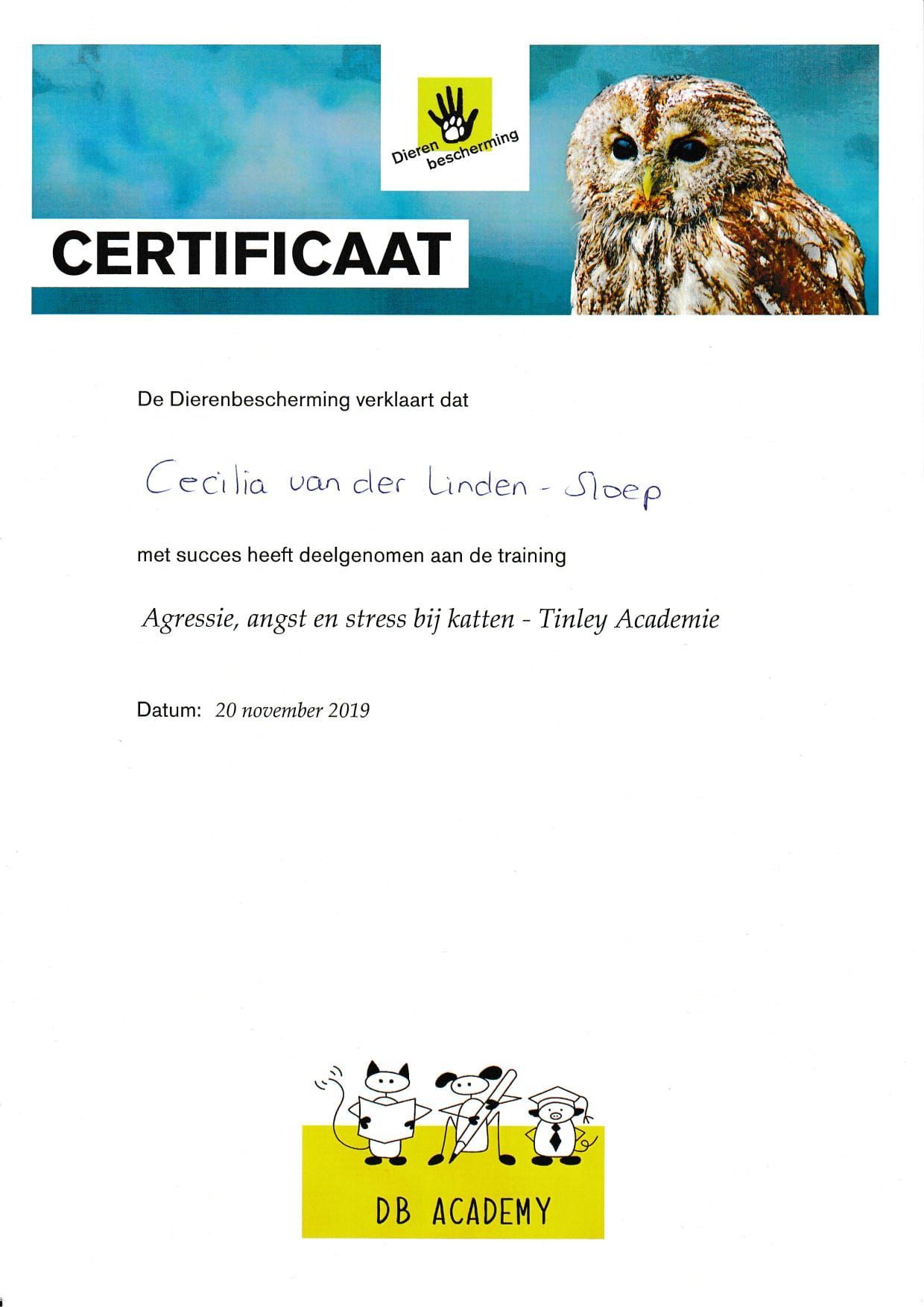 Certificaat met uilenfoto, blauwe koptekst en DB Academy-logo op een witte achtergrond.