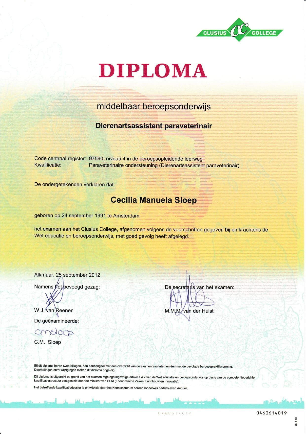 Diploma met groen logo, rode titel en geel-witte achtergrond, met naam en handtekeningen.