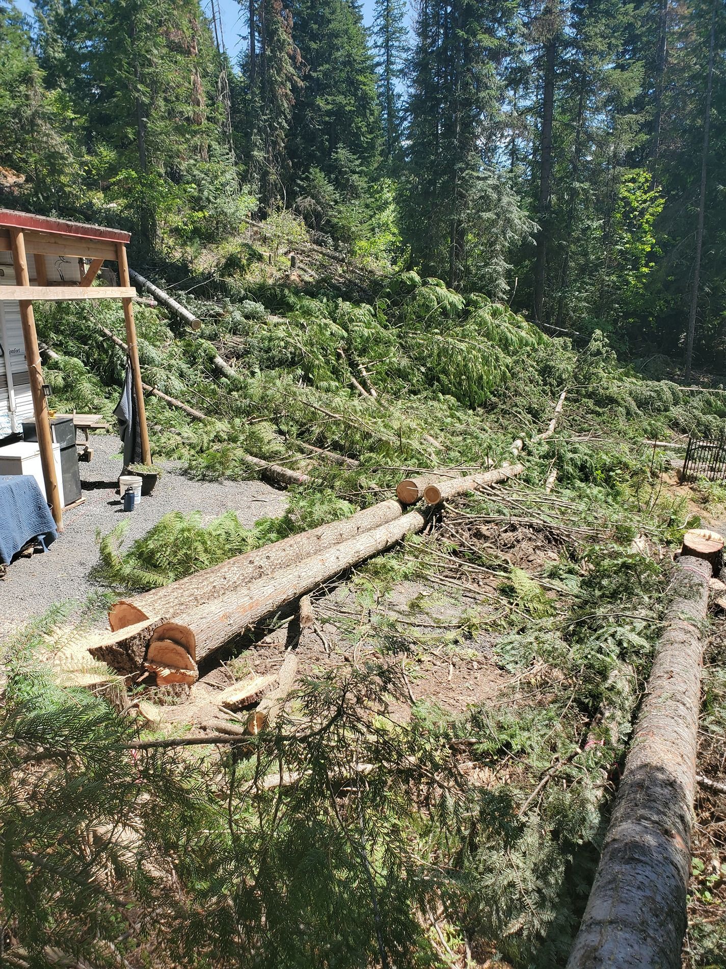 Logs on the ground near a building, surrounded by cut branches and trees in a forest.