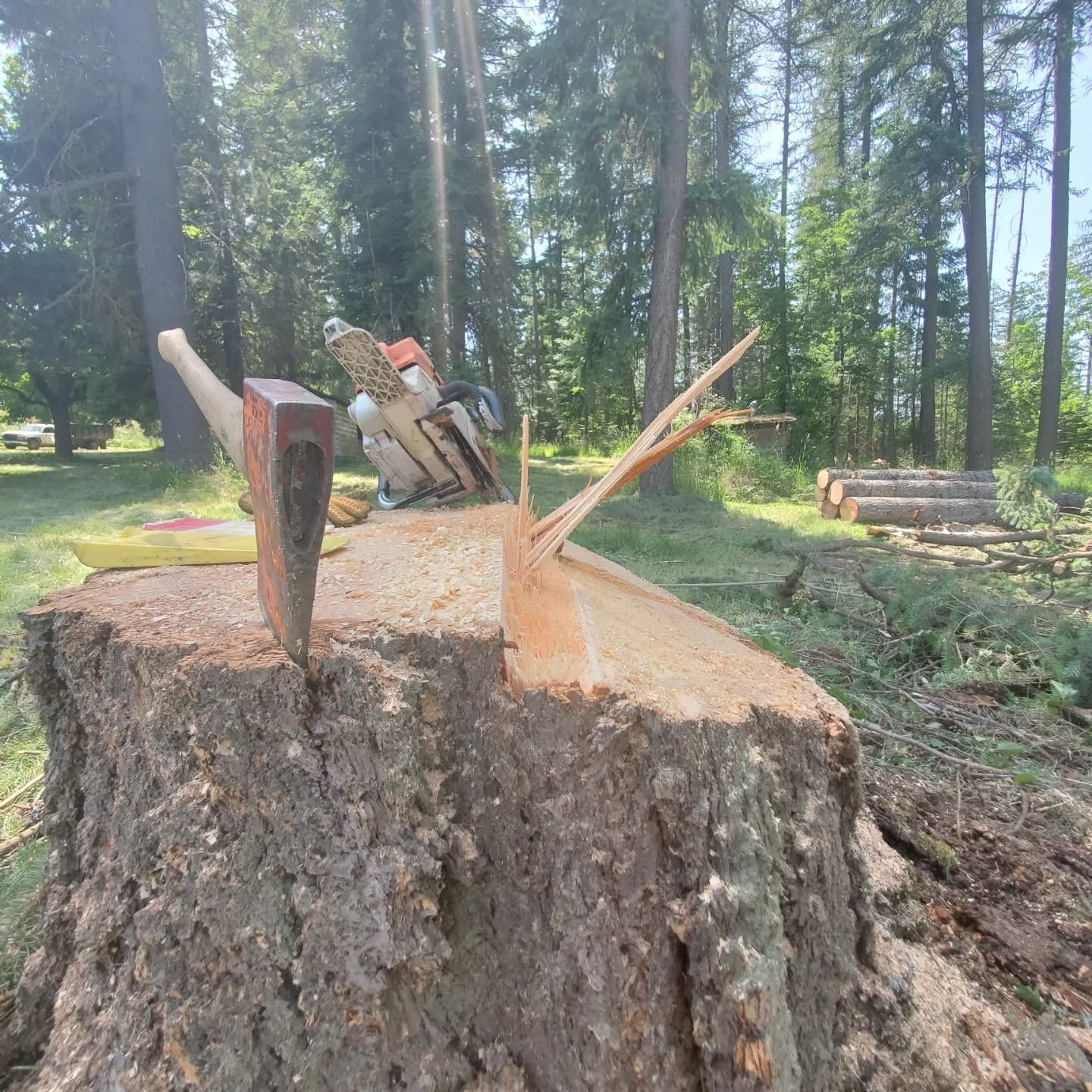 Axe stuck in a tree stump with a chainsaw in the background; logs and trees in a forest.