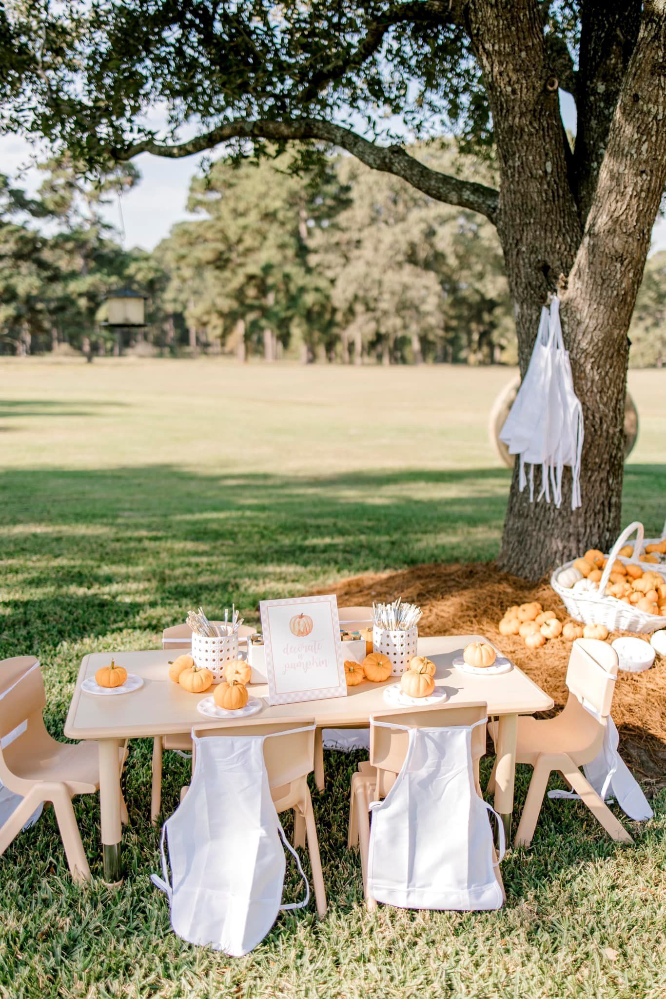 Picnic table set for a fall gathering. Oranges, aprons, and decorations sit on the table under a tree.