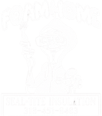 Sealtite Foam Insulation silver shield logo on white background