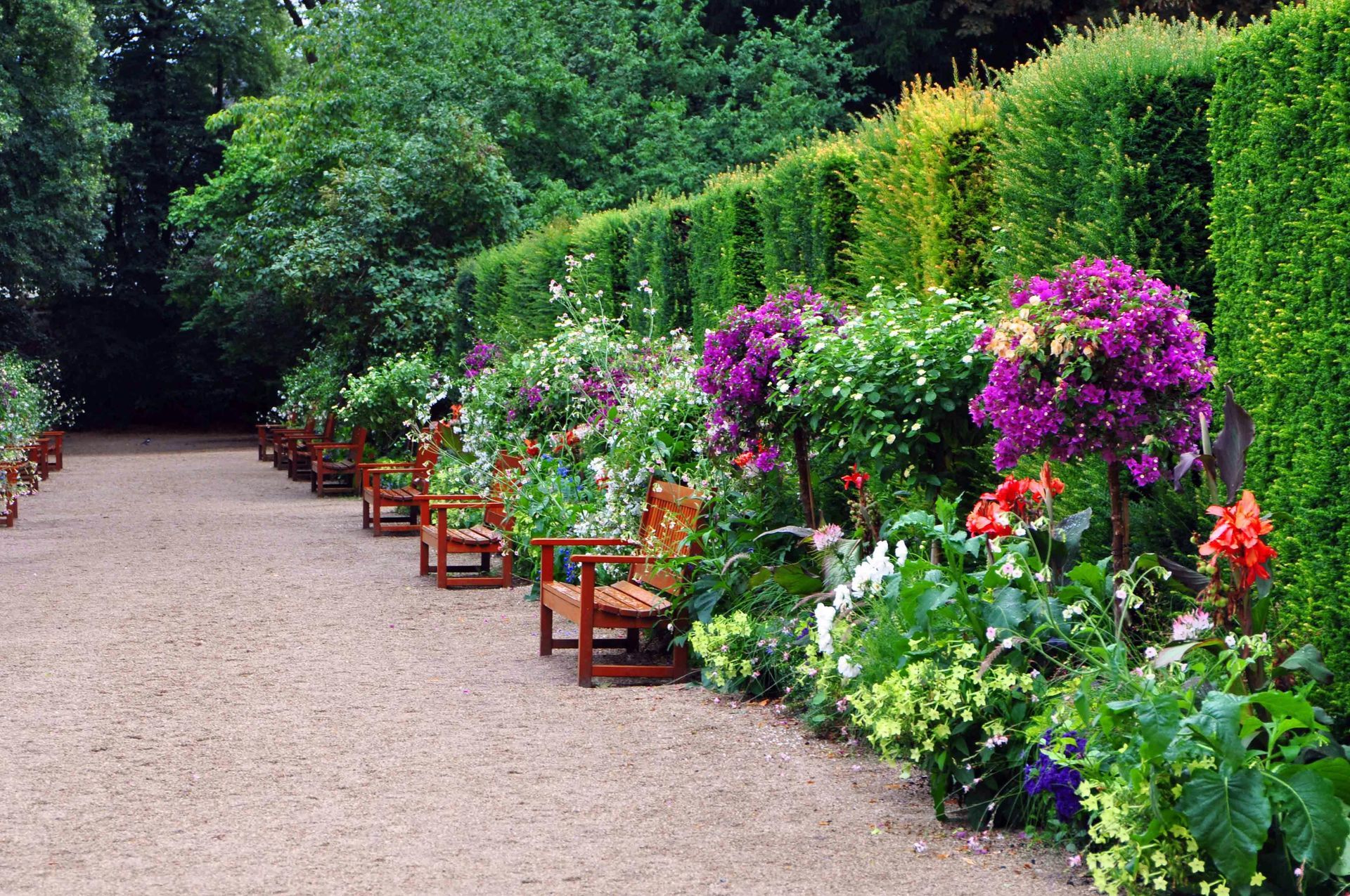 landscaping trends, landscaping industry trends, landscape trends, trends in landscaping industry