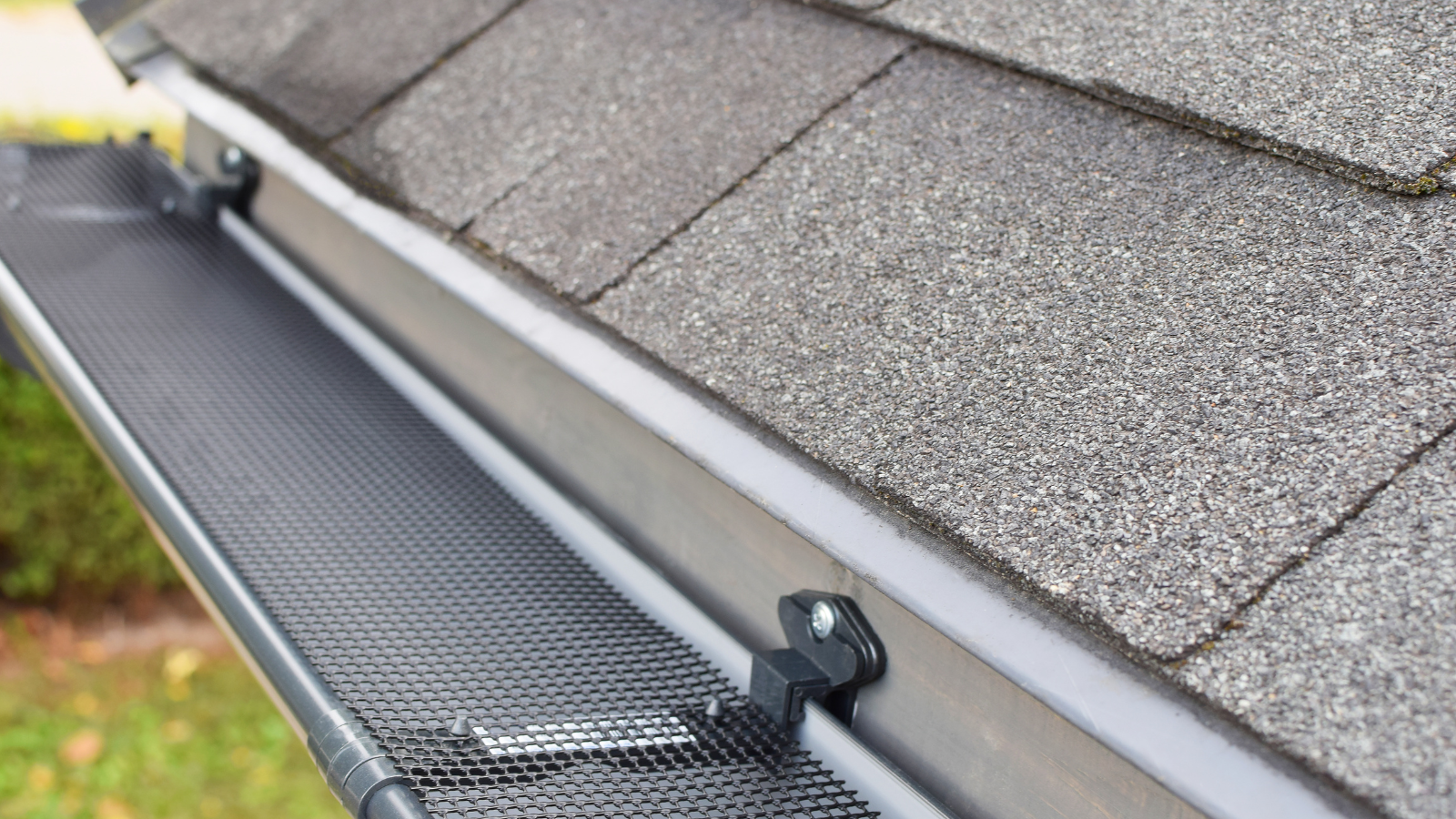 Gutter guard along a shingled roof, with a clamp attached near the eave.