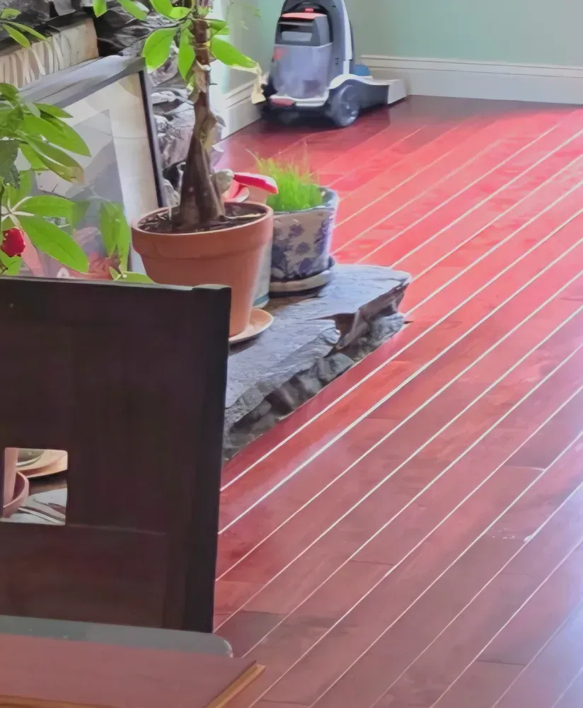 Indoor hallway with red wooden floor, potted plant, and vacuum cleaner near the wall.