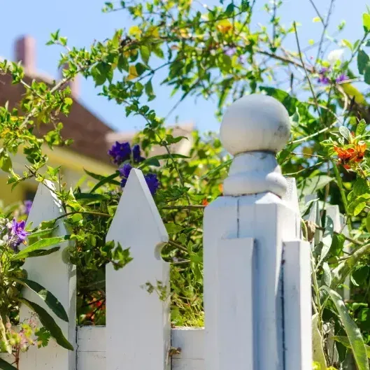 A white picket fence with flowers in the background