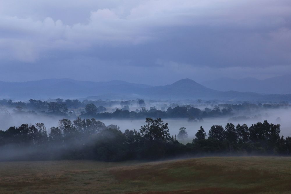 A Foggy Landscape with Trees and Mountains in The Background — J’s Concreting & Carpentry in Wauchope, NSW