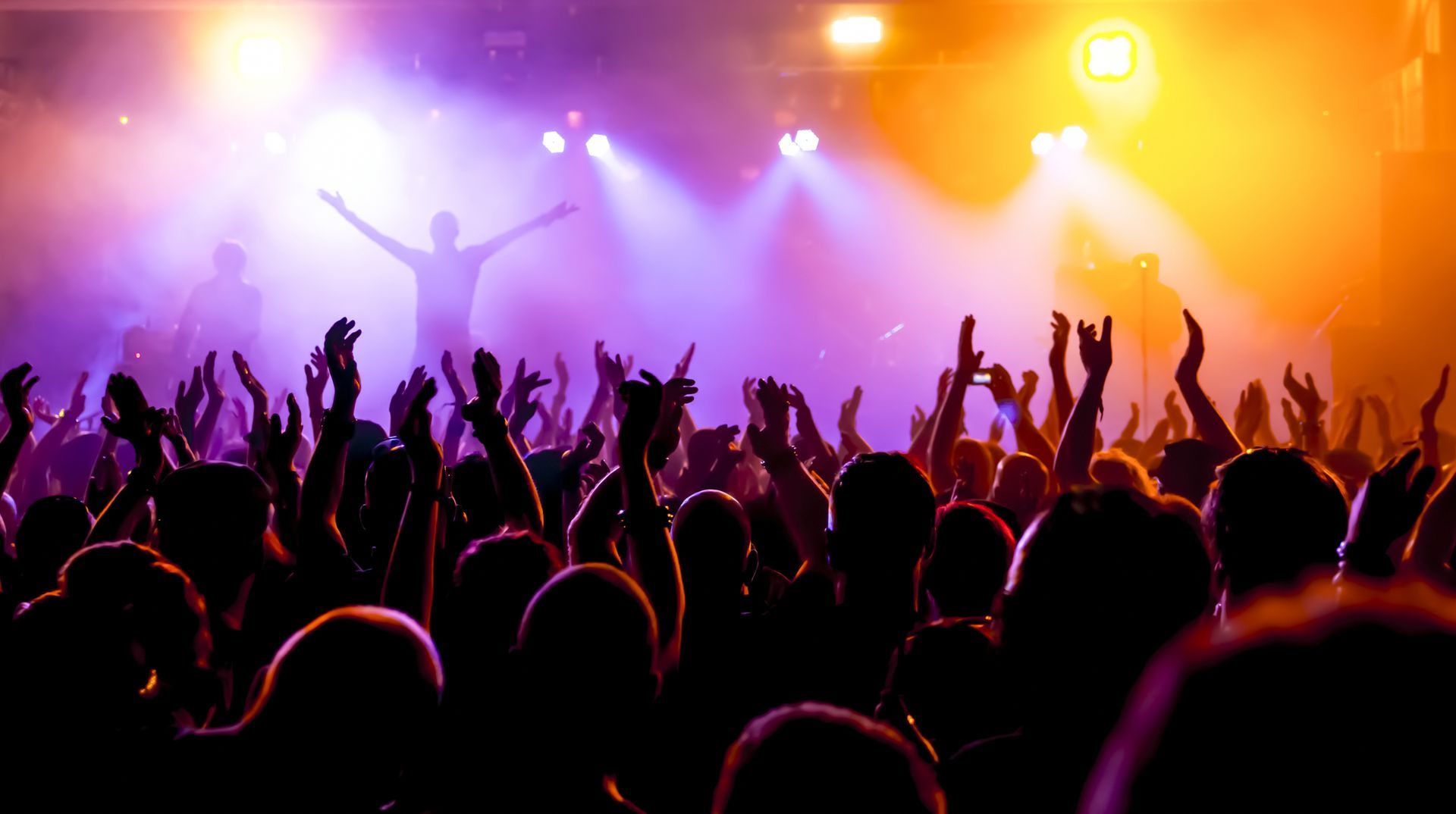 Live Concert