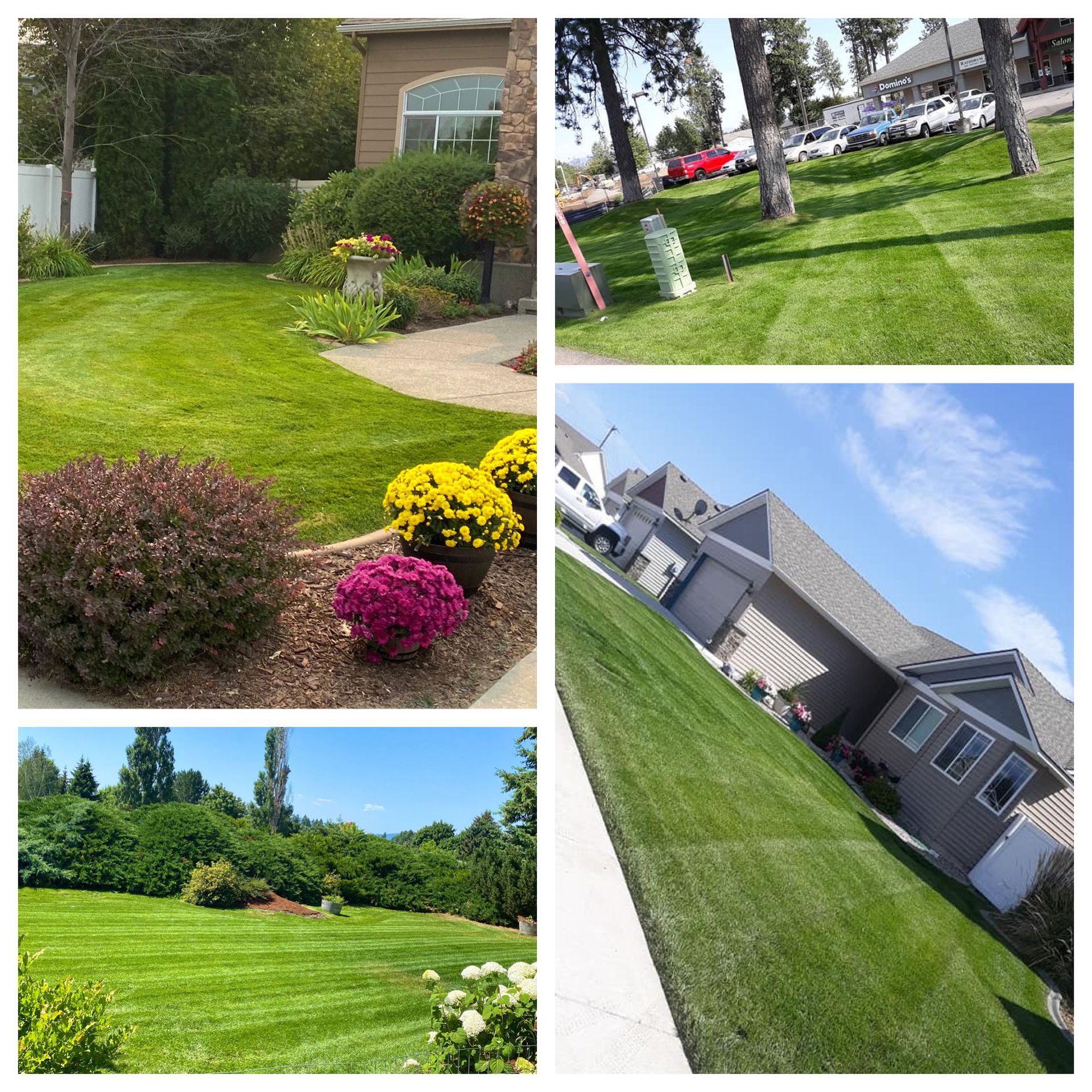 lawn care services