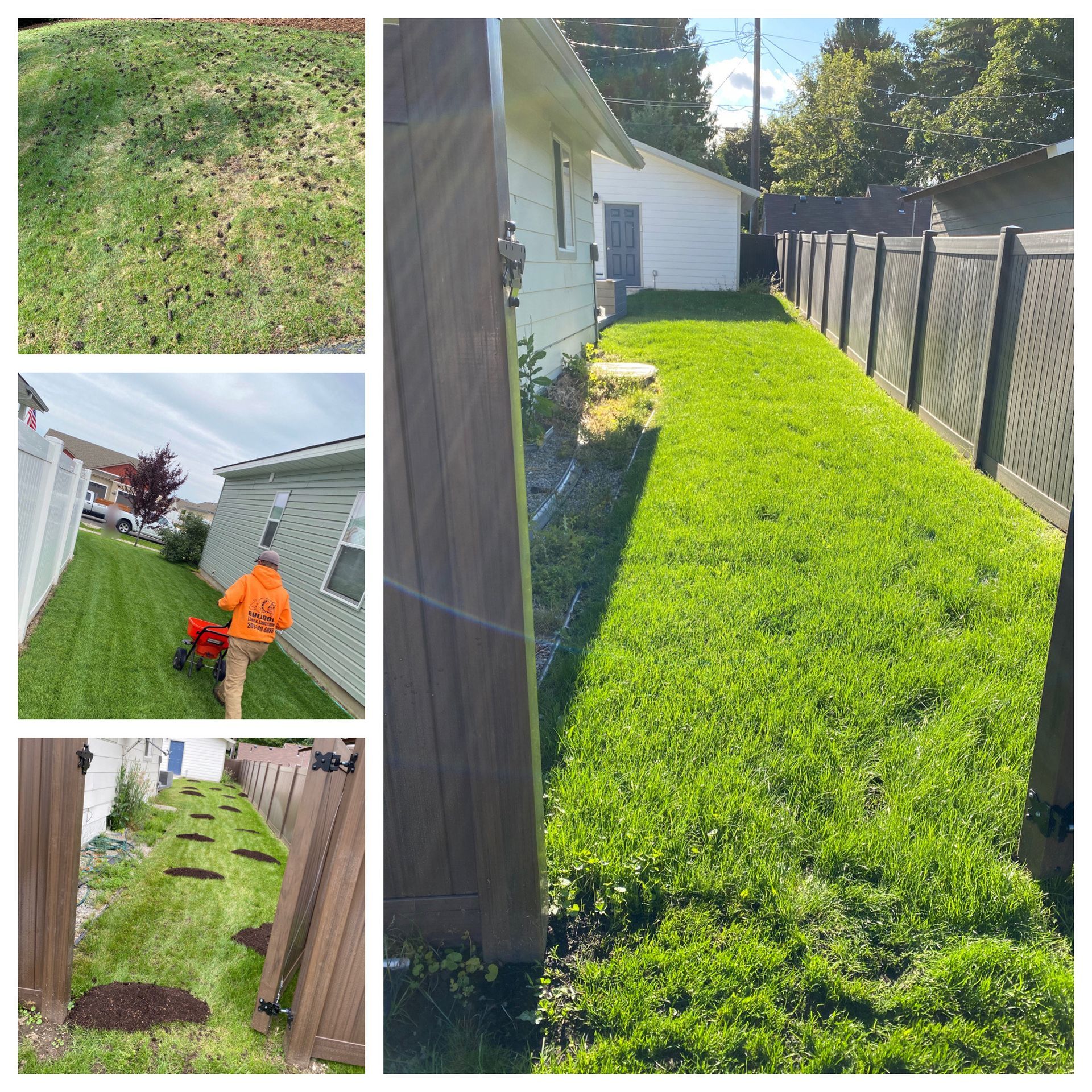 Before and after backyard lawn care service