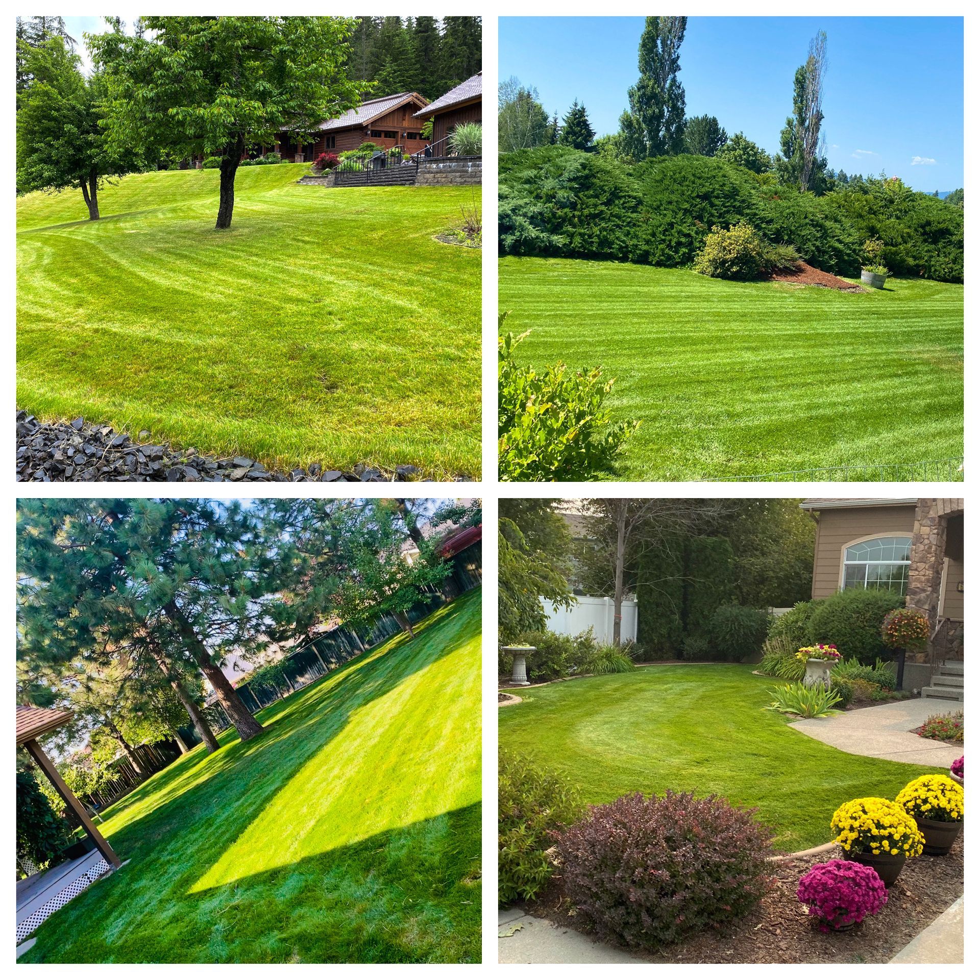 residential lawn mowing services