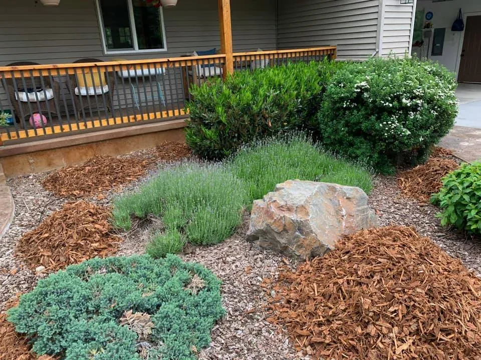 A garden with lots of plants and rocks in front of a house.