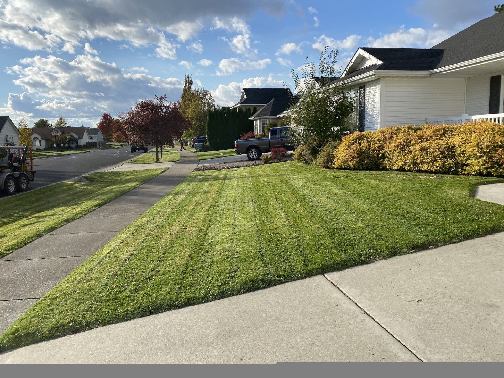 Freshly Mowed Lawn