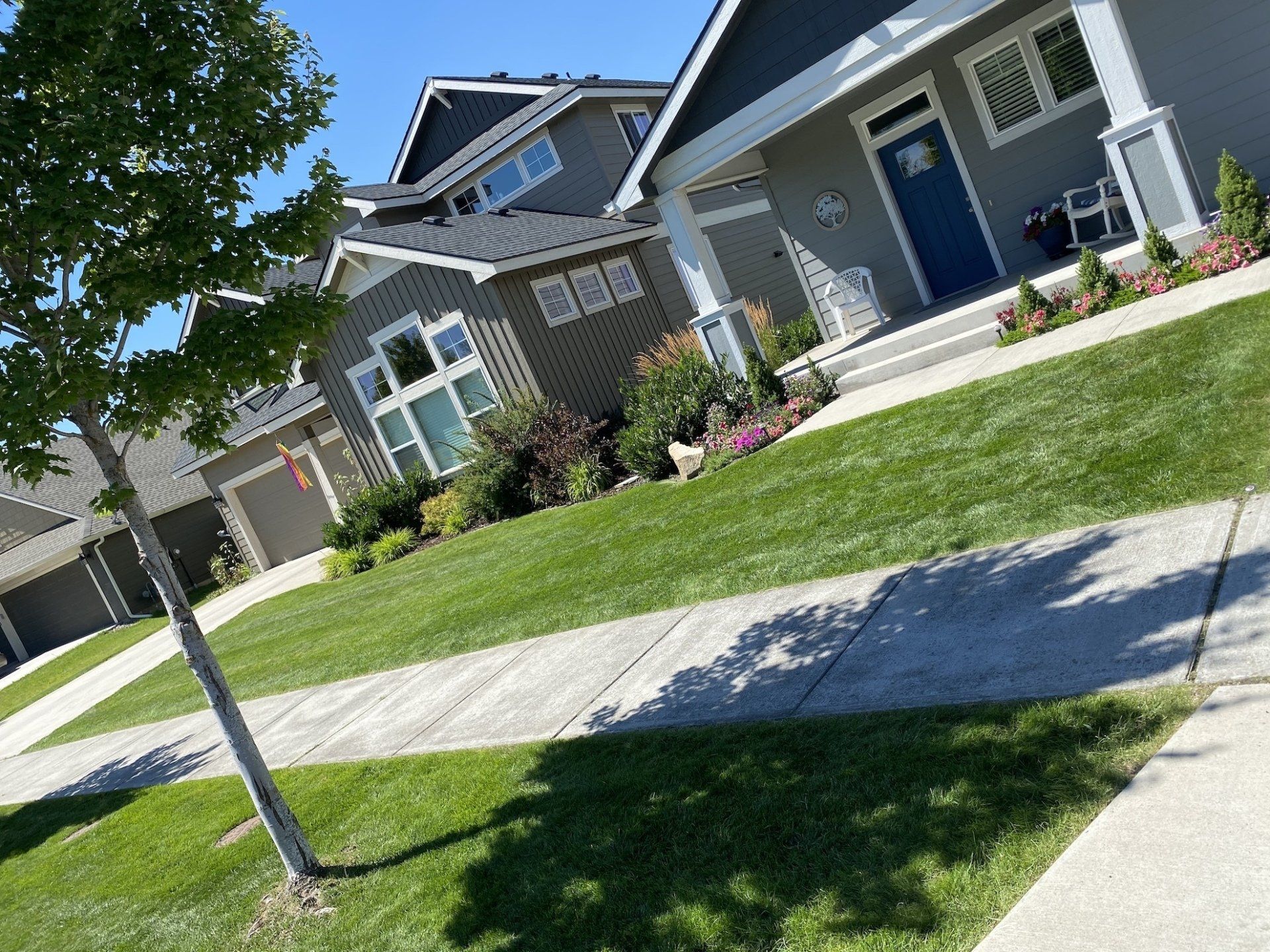 A house with a blue door is sitting on a lush green lawn next to a sidewalk.