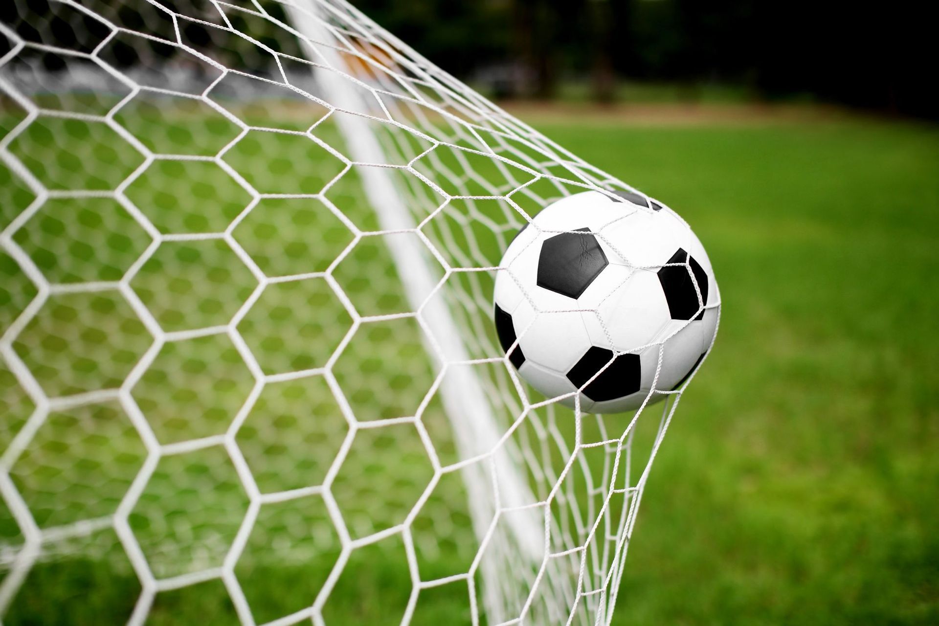 Score Goals In Your Business Establish your business goals in Adelaide with Assurance Digital