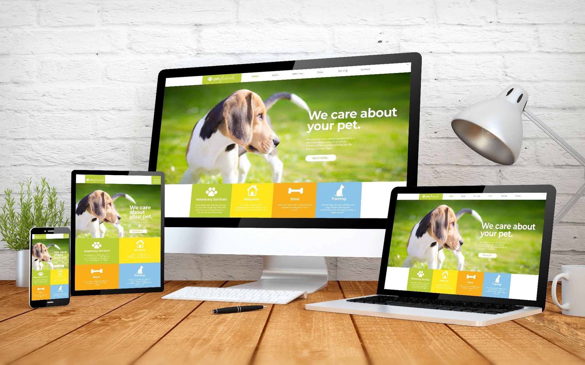 Web Developer For New Business Startups. Assurance Digital Marketing Adelaide
