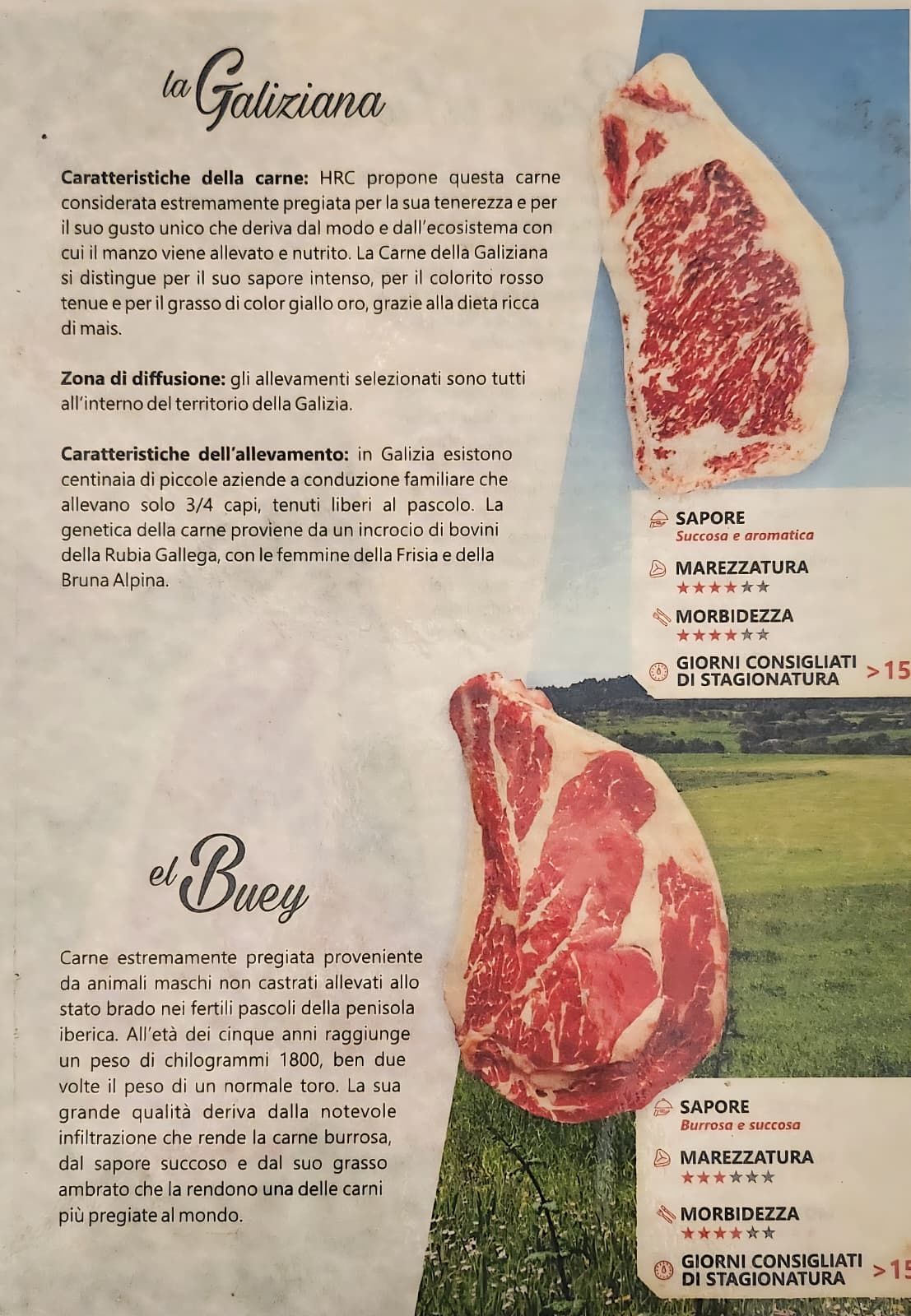 steakhouse porky's porcia pordenone costate alla brace