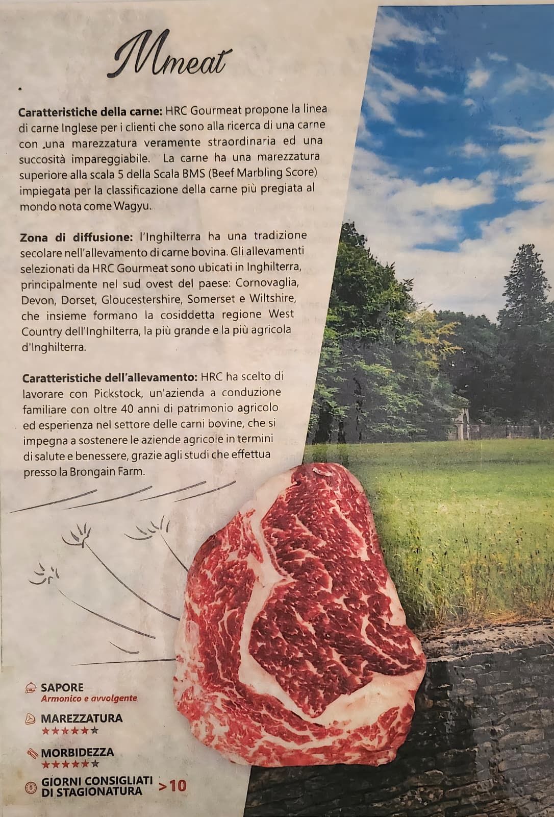steakhouse porky's porcia pordenone costate alla brace
