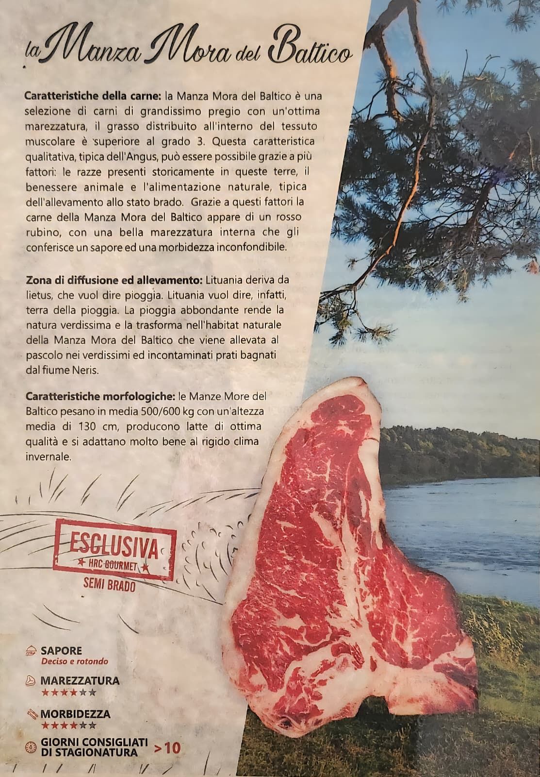 steakhouse porky's porcia pordenone costate alla brace
