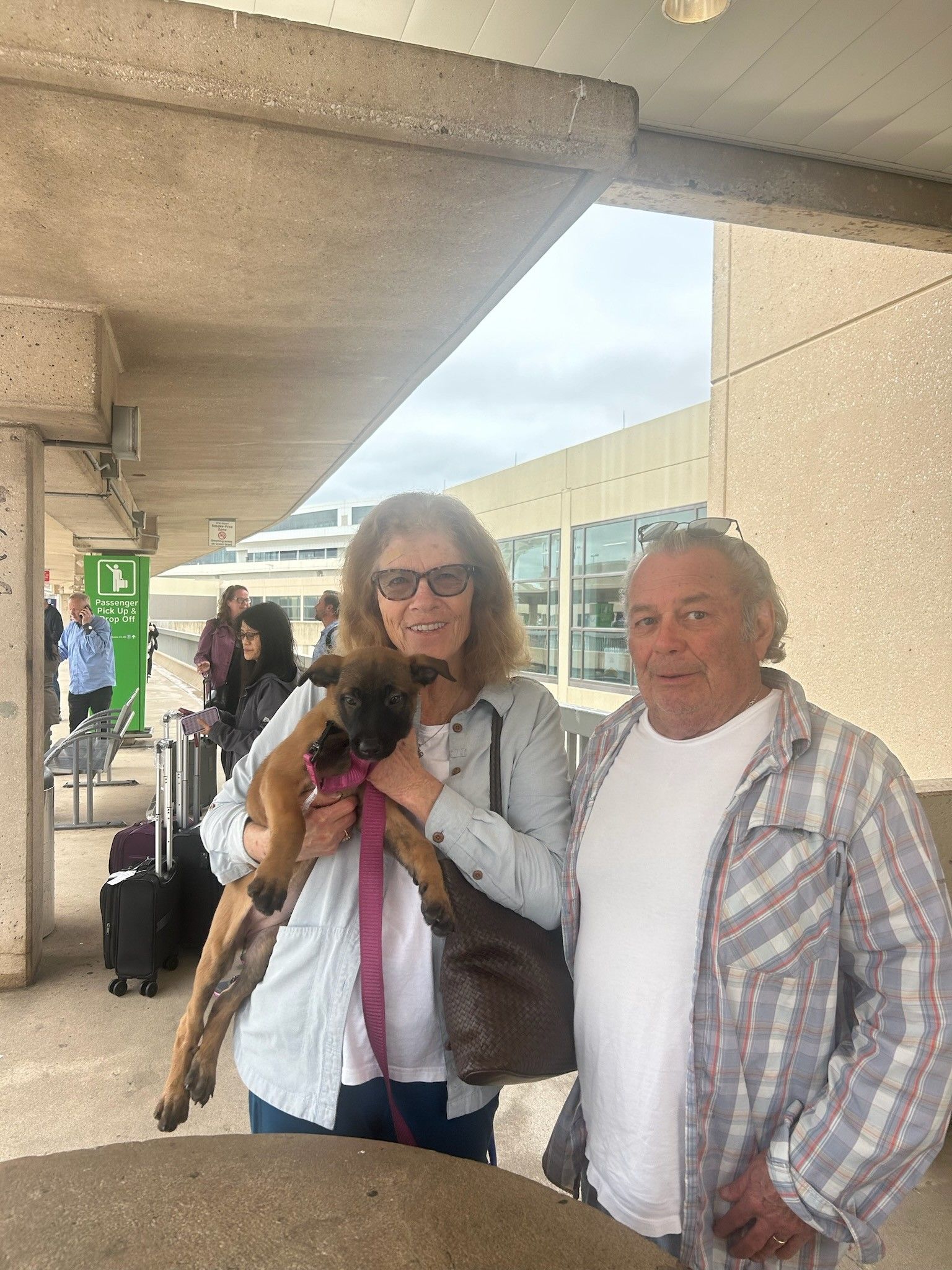 Woman holds puppy, man smiles. Outside airport, luggage visible.