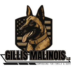 Logo: Belgian Malinois dog with tongue out inside a green and black shield, "Gillis Malinois LLC" text below.