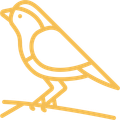 Bird icon
