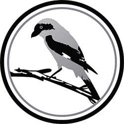 Shrike Birding Logo Shrike Birding Logo