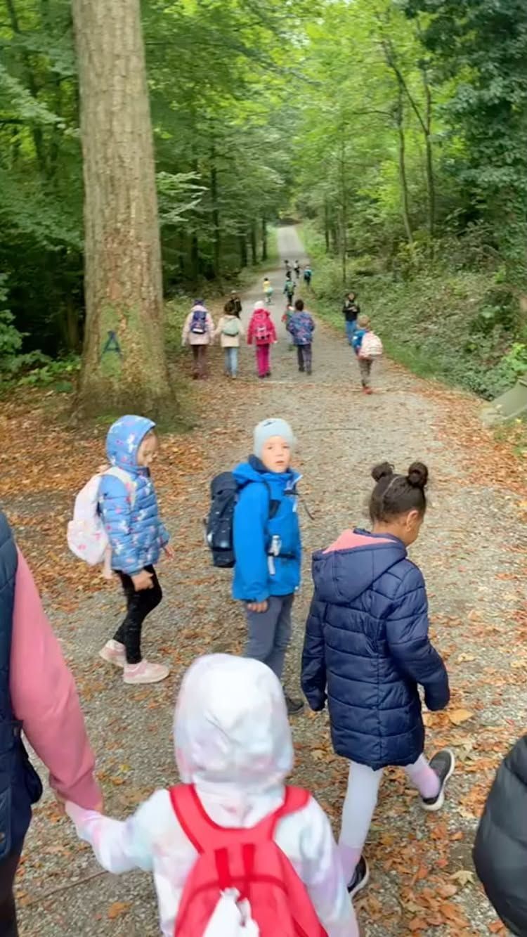 A group of children with backpacks walks along a leaf-strewn forest path, seen from behind.
